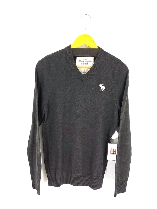 アバクロンビーアンドフィッチ Abercrombie & Fitch 薄手 Vネックニット メンズ  M