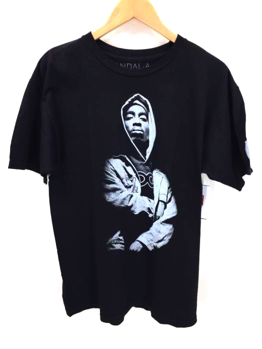 VANDAL-A(フルギ) クルーネック半袖Tシャツ メンズ JPN：M