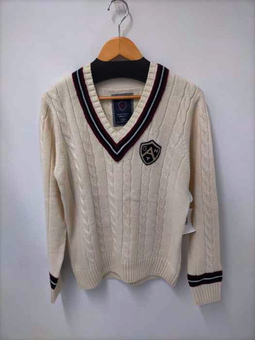 GANT Vネックニット メンズ JPN：M