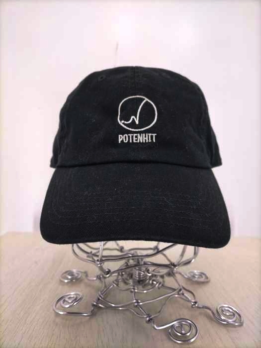 NEWHATTAN(ニューハッタン) POTENHIT 刺繍 6パネル キャップ メンズ ONE SIZE