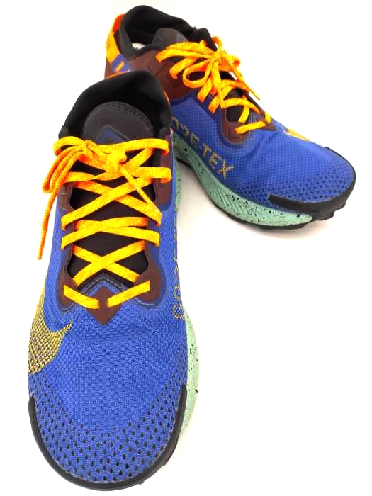 NIKE(ナイキ) Pegasus Trail 2 Gore-Tex メンズ JPN：28.5