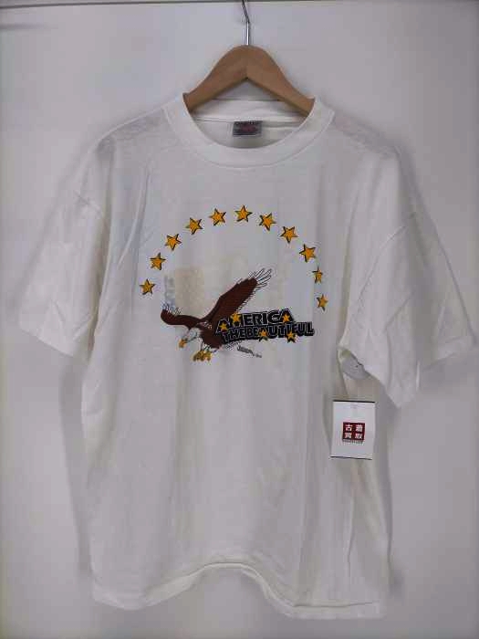 USED古着(ユーズドフルギ) 90s ONEITAボディ POWER-T USA製 AMERICA THE BEAUTIFL シングルステッチ プリント Tシャツ メンズ import：L
