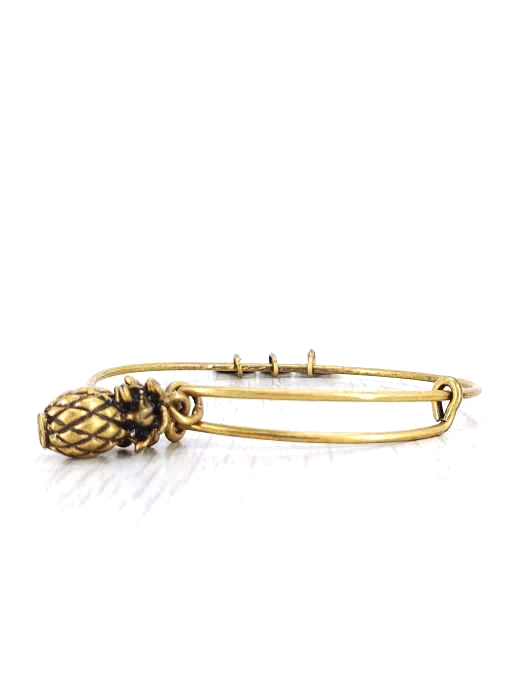 ALEX AND ANI(アレックスアンドアニ) パイナップルストラップ バングル レディース 表記無