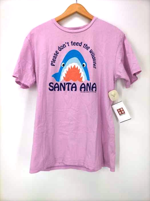 Stussy(ステューシー) Santa Ana Tee メンズ import：M