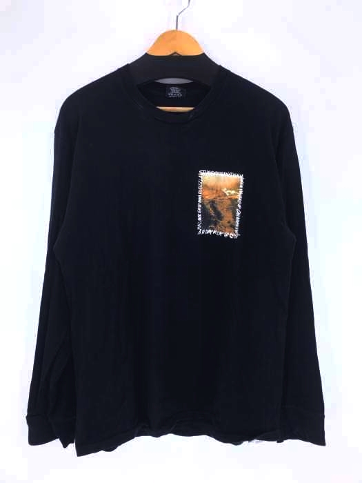 Stussy(ステューシー) アームプリント バックプリント L/Sカットソー ロンT メンズ JPN：L