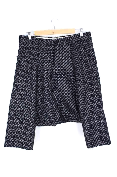 COMME des GARCONS HOMME PLUS（コムデギャルソンオムプリュス） 13AW the Tree of Youth期 ラメ刺繍 ウールサルエルパンツ メンズ パンツ サルエル