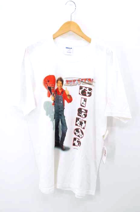 GILDAN(ギルダン) 00S PHOTO TEE メンズ  Ｌ