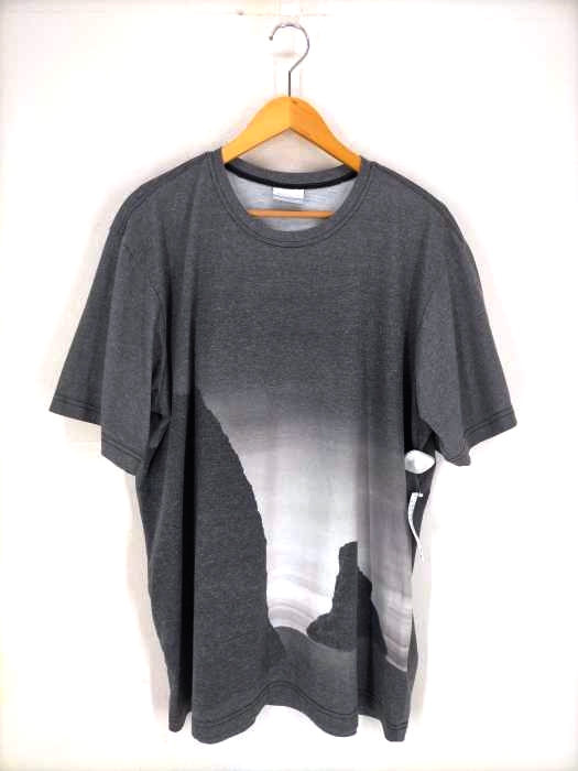 Columbia(コロンビア) プリント クルーネック 半袖 Tシャツ メンズ JPN：XL JPN：XL