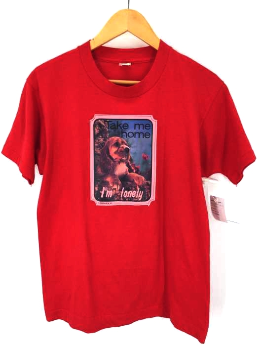 SCREEN STARS(スクリーンスターズ) USA製 フォトプリントT メンズ import：M import：M